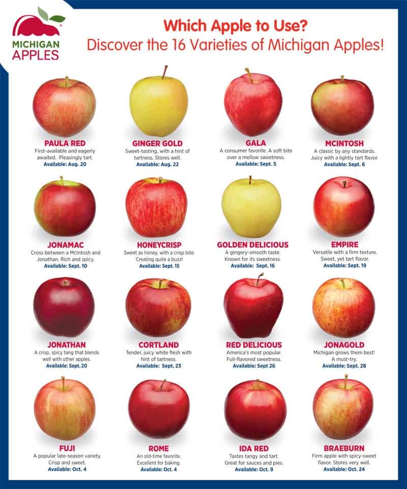Types Of Apples Chart